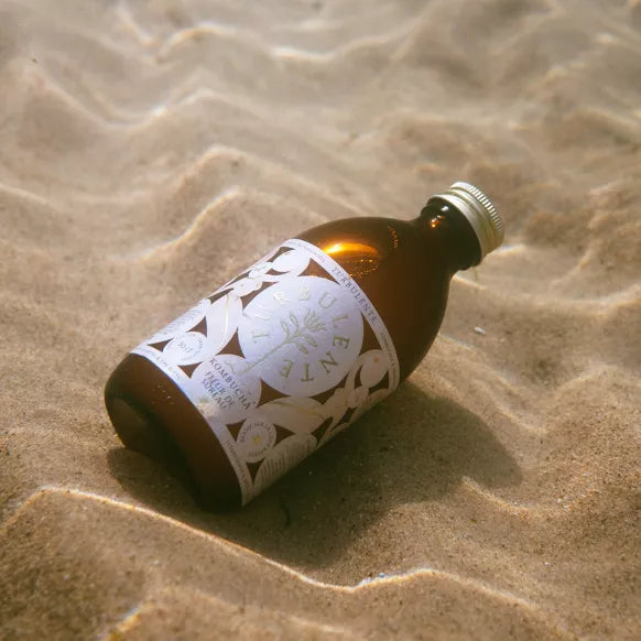 Kombucha Fleur de Sureau & Thé Blanc, Bio, Pays Basque, 30CL