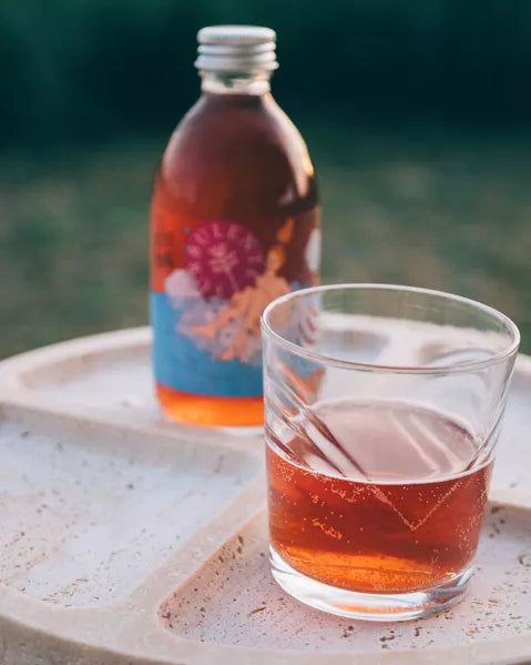 Kombucha Lavande & Mûre / Les Petites Bombes n°3